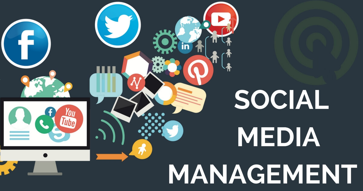 download social media management